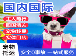 徕宁机场空运国际宠物托运 【国